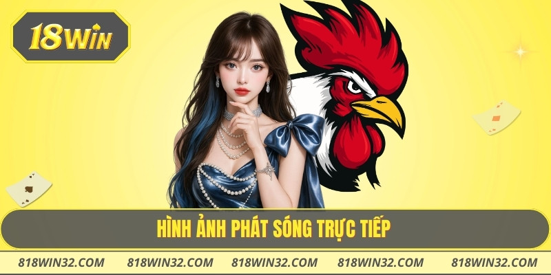 Hình ảnh phát sóng trực tiếp