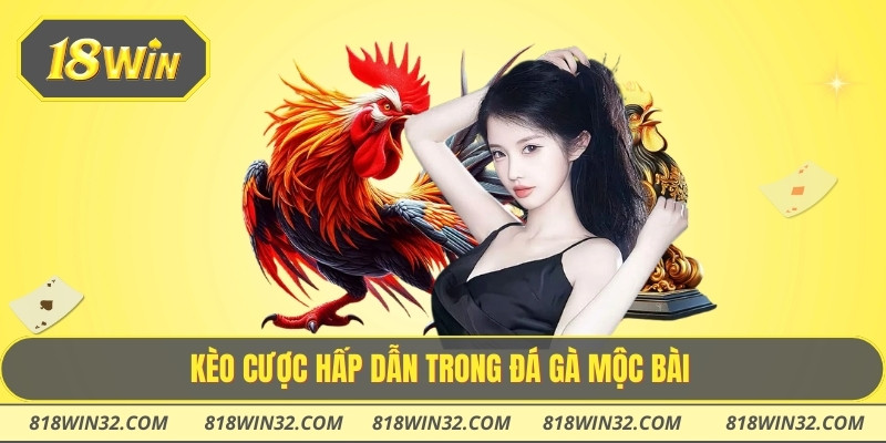 Kèo cược hấp dẫn trong đá gà Mộc Bài