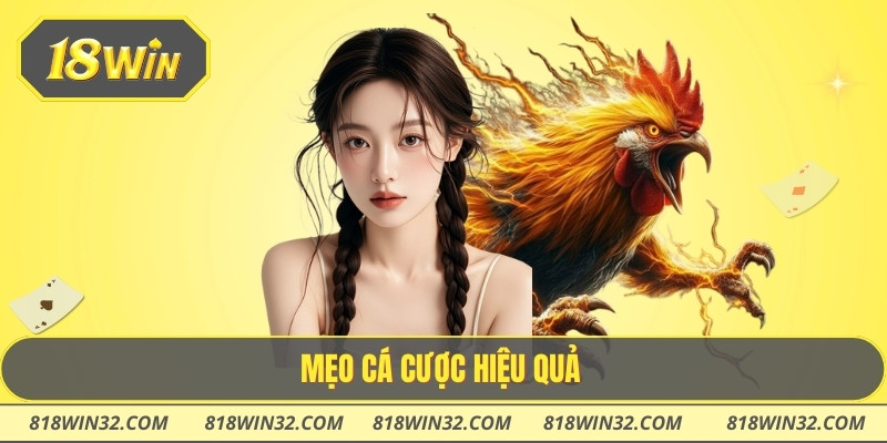 Mẹo cá cược hiệu quả