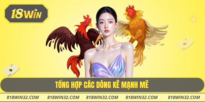 Tổng hợp các dòng kê mạnh mẽ